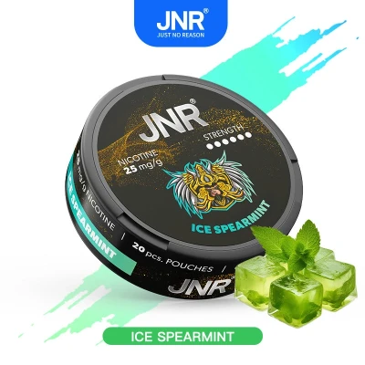 JNR Nicotine Pouches lce Spearmint