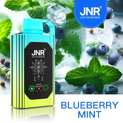 JNR Shisha Hookah Box 30K Blueberry Mint
