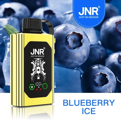 JNR Shisha Hookah Box 30K Blueberry Ice